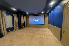 Movie Theater / Play Room